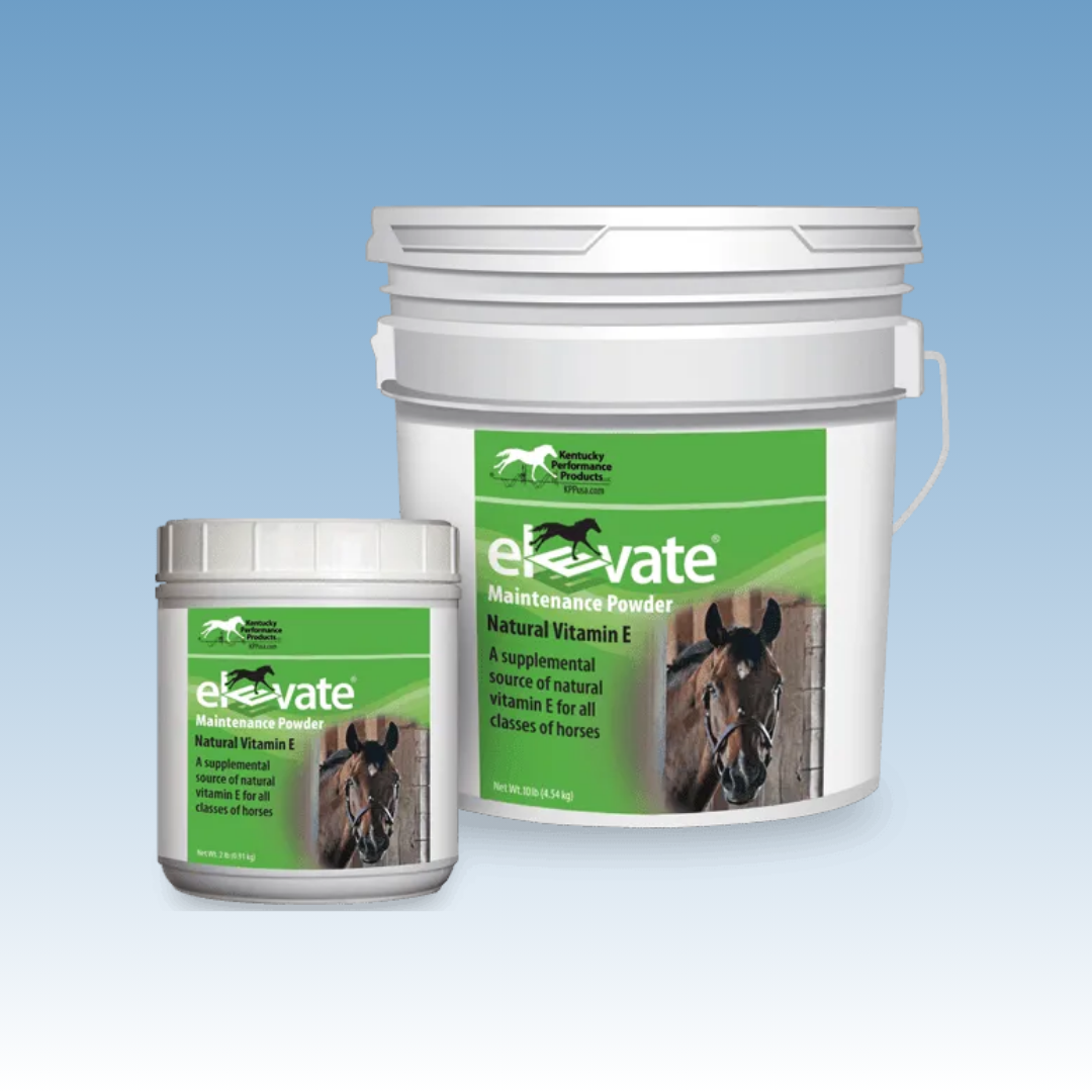 Elevate Maintenance (Vitamin E)